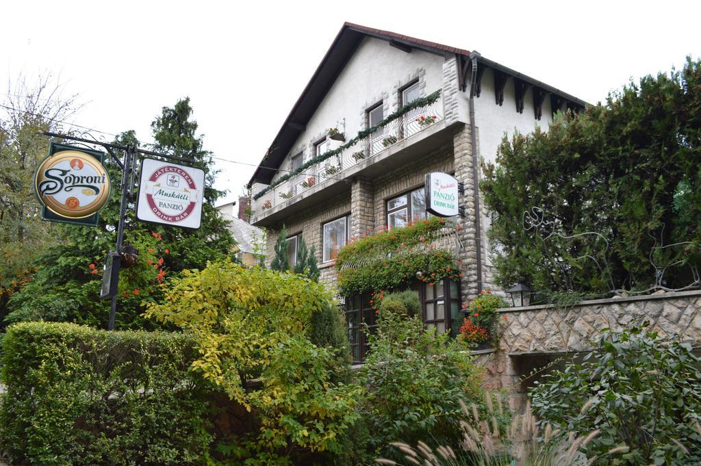 杰尔天竺葵旅馆住宿加早餐旅馆 外观 照片