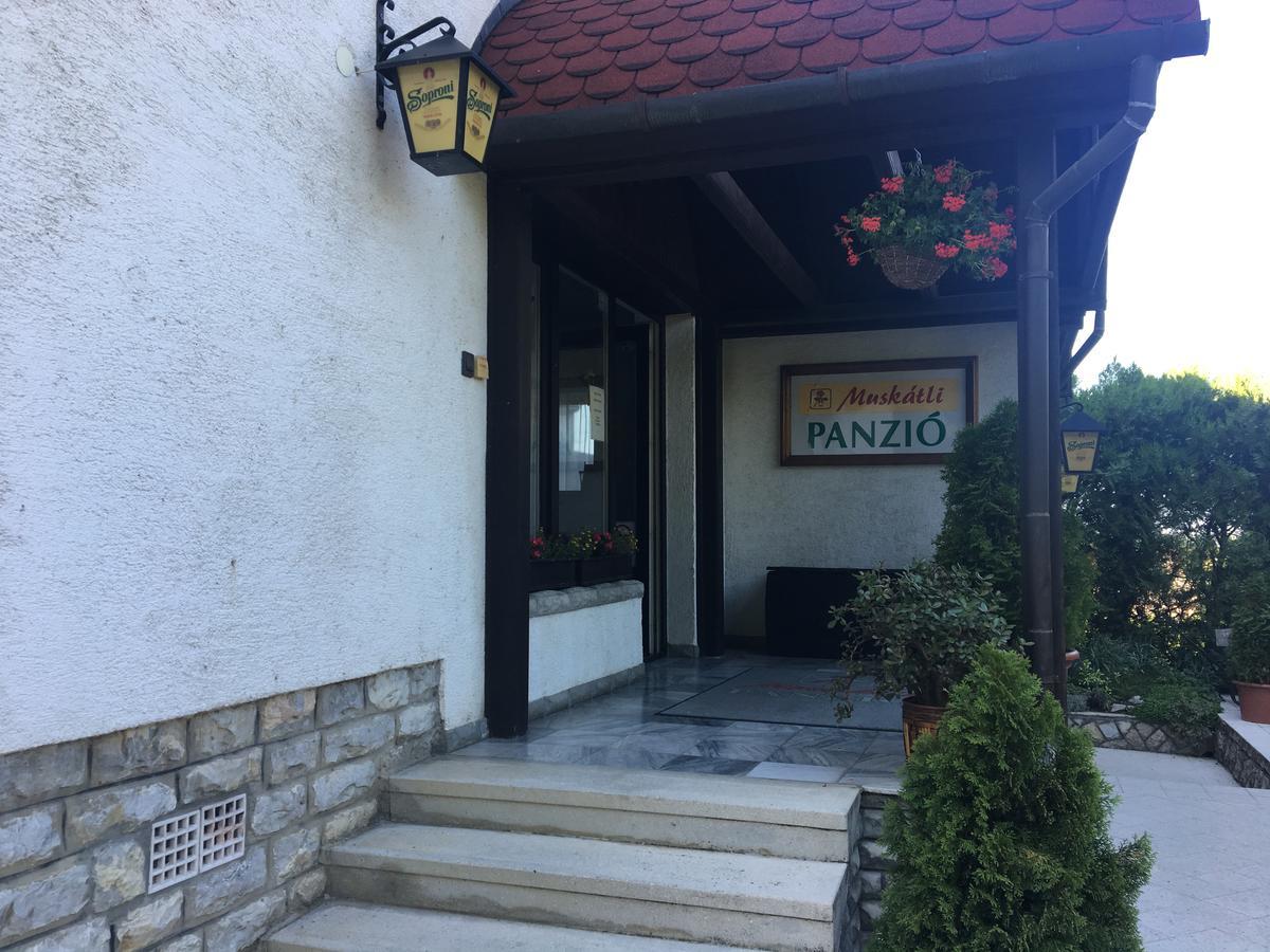 杰尔天竺葵旅馆住宿加早餐旅馆 外观 照片